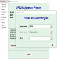 Epson B-300 Adjustment Program